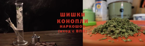 ПСИЛОЦИБИНОВЫЕ ГРИБЫ Рославль