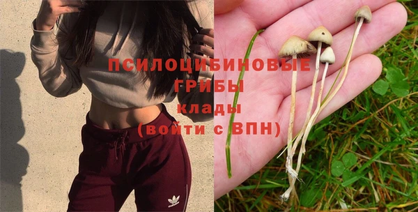 спайс Богданович